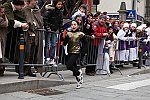 Gara delle Bighe 2011-7834